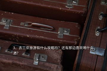 3、去三亞旅游有什么攻略嗎？還有那邊喜歡喝什么酒？