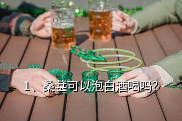 1、桑葚可以泡白酒喝嗎？