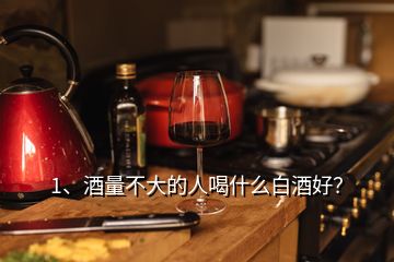 1、酒量不大的人喝什么白酒好？