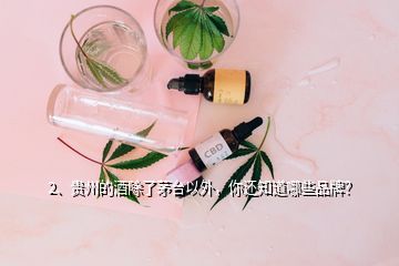 2、貴州的酒除了茅臺以外，你還知道哪些品牌？