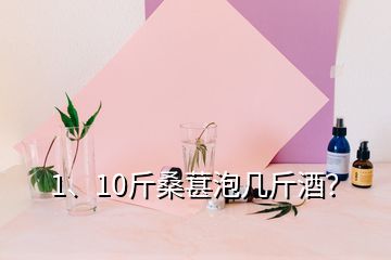 1、10斤桑葚泡幾斤酒？