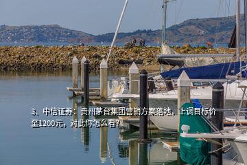 3、中信證券：貴州茅臺集團營銷方案落地，上調(diào)目標(biāo)價至1200元，對此你怎么看？