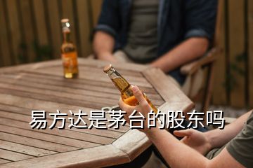 易方達(dá)是茅臺(tái)的股東嗎