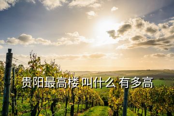 貴陽最高樓 叫什么 有多高