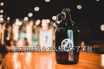 重慶羽揚酒業(yè)怎么預約不了茅臺