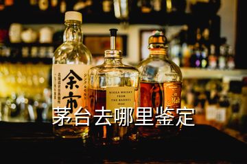 茅臺去哪里鑒定