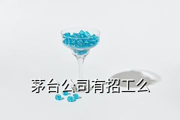 茅臺(tái)公司有招工么