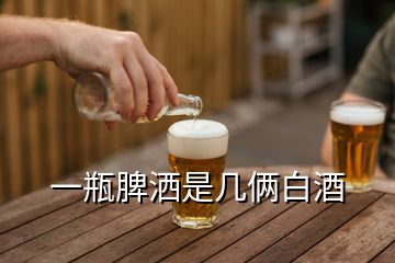 一瓶脾灑是幾倆白酒