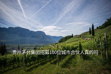 貴州茅臺集團(tuán)招募100位城市合伙人真的嗎