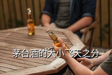 茅臺酒的大小飛天之分