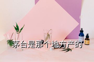 茅臺(tái)是那個(gè)地方產(chǎn)的