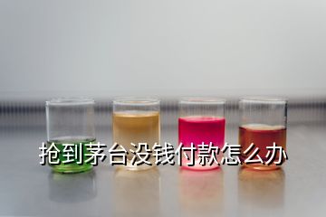 搶到茅臺沒錢付款怎么辦