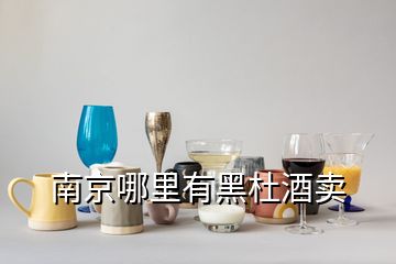 南京哪里有黑杜酒賣