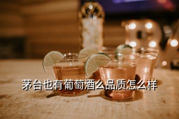 茅臺(tái)也有葡萄酒么品質(zhì)怎么樣