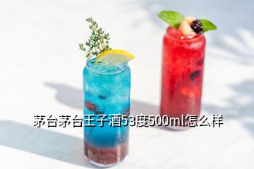 茅臺(tái)茅臺(tái)王子酒53度500ml怎么樣