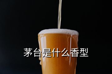 茅臺(tái)是什么香型