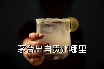 茅臺(tái)出自貴州哪里