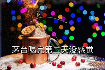 茅臺喝完第二天沒感覺