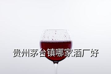 貴州茅臺鎮(zhèn)哪家酒廠好