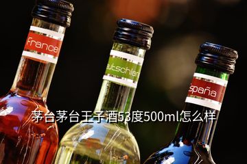 茅臺(tái)茅臺(tái)王子酒53度500ml怎么樣