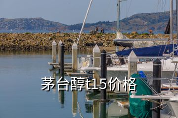 茅臺醇t15價(jià)格