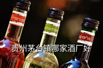 貴州茅臺鎮(zhèn)哪家酒廠好