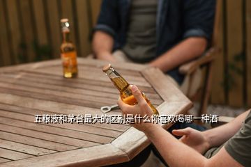 五糧液和茅臺最大的區(qū)別是什么你喜歡喝哪一種酒