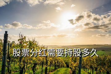 股票分紅需要持股多久