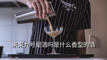 未來九號(hào)是酒嗎是什么香型的酒