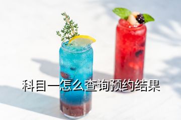 科目一怎么查詢預(yù)約結(jié)果