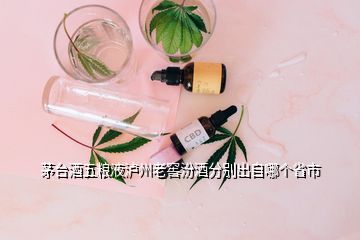 茅臺(tái)酒五糧液瀘州老窖汾酒分別出自哪個(gè)省市