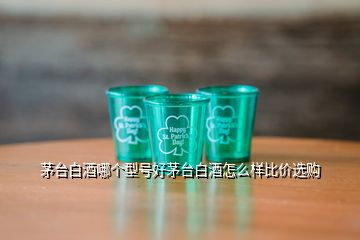 茅臺白酒哪個型號好茅臺白酒怎么樣比價(jià)選購