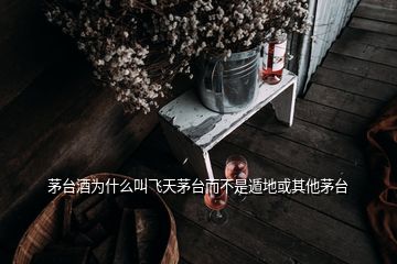 茅臺(tái)酒為什么叫飛天茅臺(tái)而不是遁地或其他茅臺(tái)