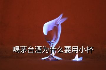 喝茅臺(tái)酒為什么要用小杯