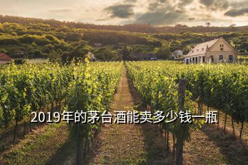 2019年的茅臺酒能賣多少錢一瓶