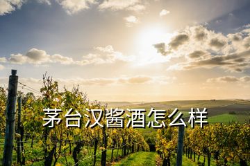 茅臺漢醬酒怎么樣