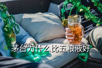 茅臺為什么比五糧液好