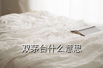 雙茅臺什么意思