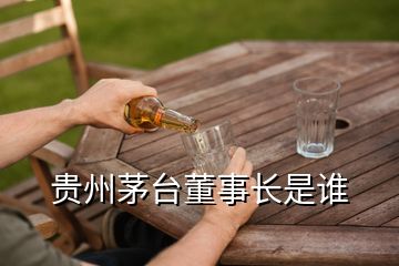 貴州茅臺董事長是誰