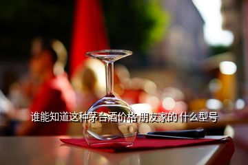 誰(shuí)能知道這種茅臺(tái)酒價(jià)格 朋友家的 什么型號(hào)