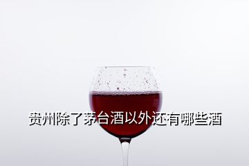 貴州除了茅臺酒以外還有哪些酒