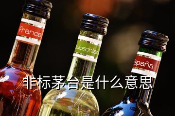 非標(biāo)茅臺是什么意思