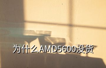 為什么AMD5600沒貨