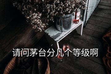 請問茅臺分幾個等級啊