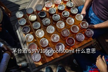 茅臺酒 53VV106proof500ml 什么意思