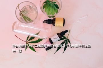 茅臺(tái)酒紙殼上的二維編碼用茅臺(tái)鑒真軟件掃碼跟手機(jī)上編碼一致