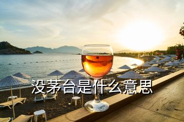 沒茅臺是什么意思