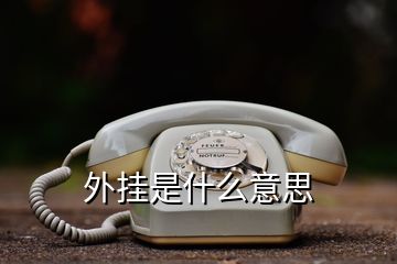 外掛是什么意思