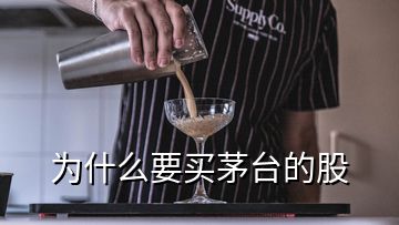 為什么要買茅臺的股