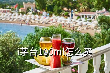 i茅臺(tái)100ml怎么買